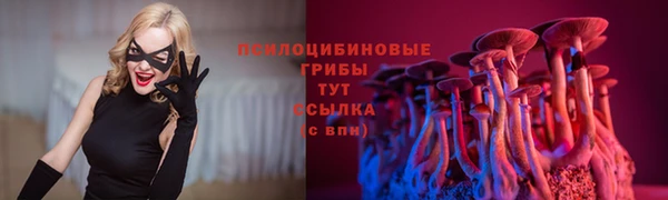 гидра Волосово