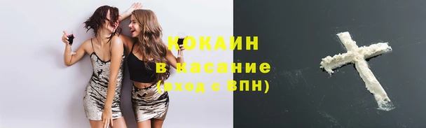 гидра Волосово