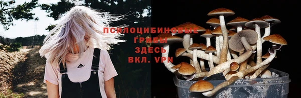 ПСИЛОЦИБИНОВЫЕ ГРИБЫ Волоколамск